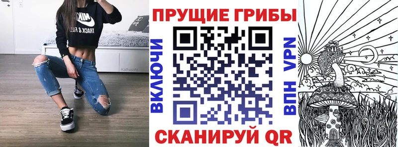 Псилоцибиновые грибы Cubensis  хочу наркоту  Электрогорск 